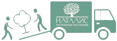 Щоденна доставка по Києву та області